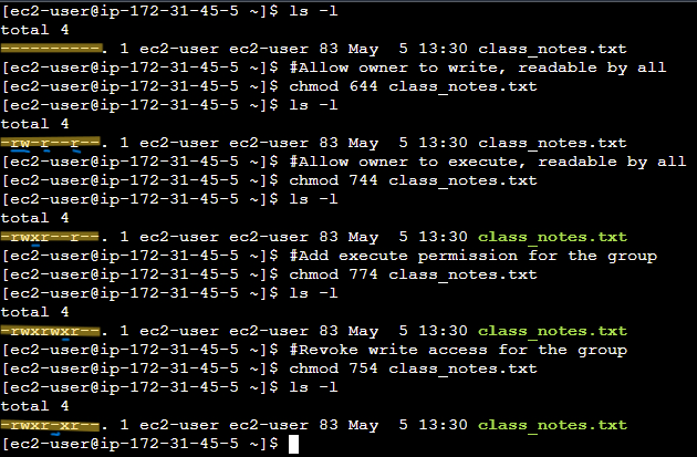 File permissions exercise CLI